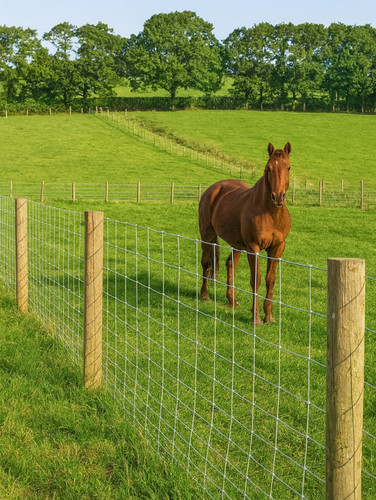 Stock fencing 100 15 - stock, m8/100/15