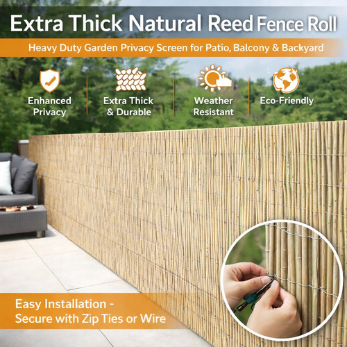 Reed fencing extra thick - extra,