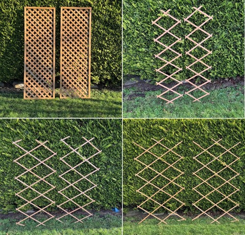 Garden trellis wooden panels - trellis,